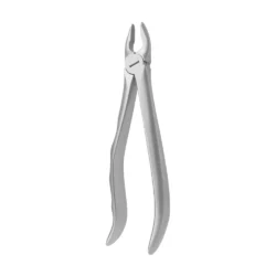 DENT C1045 - Extracting Forceps EF1 Upper Incisor-Cuspid.jpg