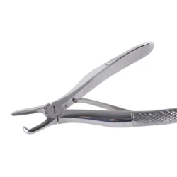 DENT K1013 - Tartar Removing Forceps.jpg